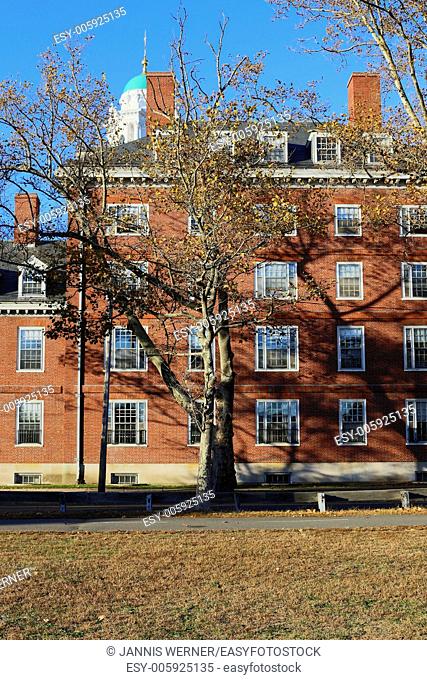 Sunny fall day at Harvard University campus in Cambridge, MA, USA