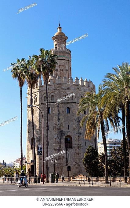 Torre del Oro, golden tower, Seville, Andalusia, Spain, Europe