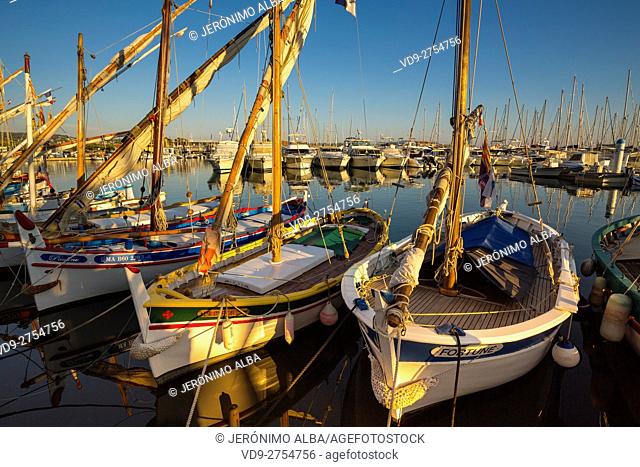 Fishing boats at fishing port, Marina, old harbour. Village of Bandol. Var department, Provence Alpes Cote d'Azur. French Riviera. Mediterranean Sea