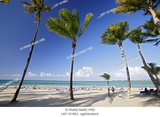 People and palm trees at the beach under blue sky, Isla Verde, Puerto Rico, Carribean, America