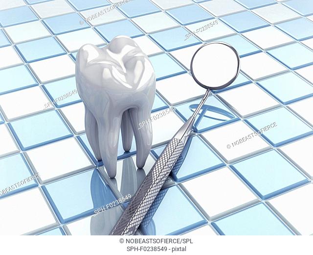 Angled mirror and tooth model, illustration
