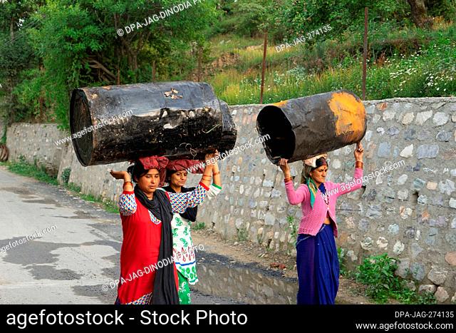 Women carrying tar drums, Sitla Estate, Nainital, Kumaon, Uttarakhand, India, Asia