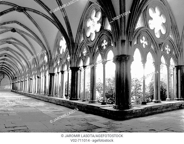 Cathedral, Salisbury. Wiltshire, England, UK