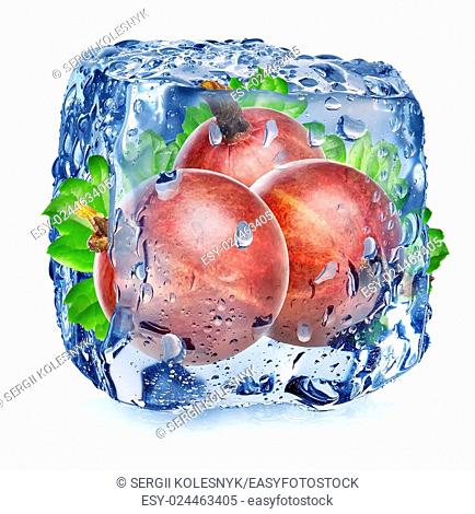 Red gooseberry in ice cube isolated on white