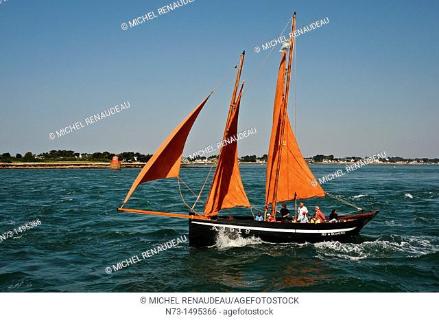 France, Morbihan 56, The Gulf of Morbihan Gulf during the week of May 30 to June 5, 2011, the work boats, the Sinagot