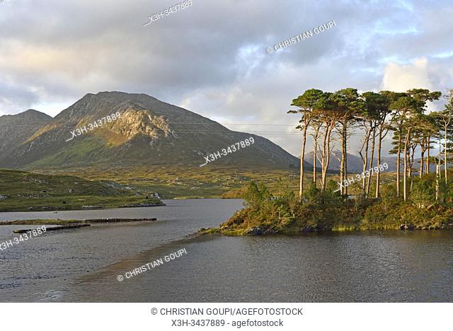 Lough Shindilla, Maumturk Mountains Special Area of Conservation, Connemara, Republic of Ireland, North-western Europe