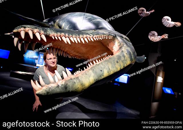 dpatop - PRODUCTION - 22 June 2022, Lower Saxony, Wilhelmshaven: A woman looks at a life-size model of a Liopleurodon in the new adventure exhibition ""Saurians...