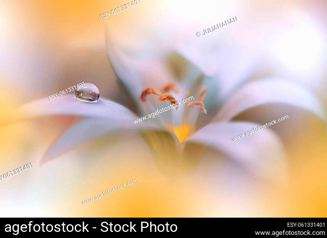 Beautiful Macro Photo.Colorful Flowers.Border Art Design.Magic Light.Close up Photography.Conceptual Abstract Image.Yellow and Orange Background
