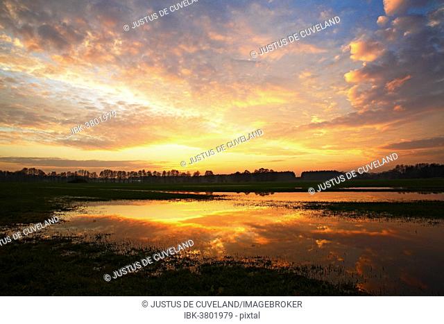 Dramatic sky at sunset with reflection in flooded meadow, Oberalsterniederung nature reserve, Tangstedt, Schleswig-Holstein, Germany