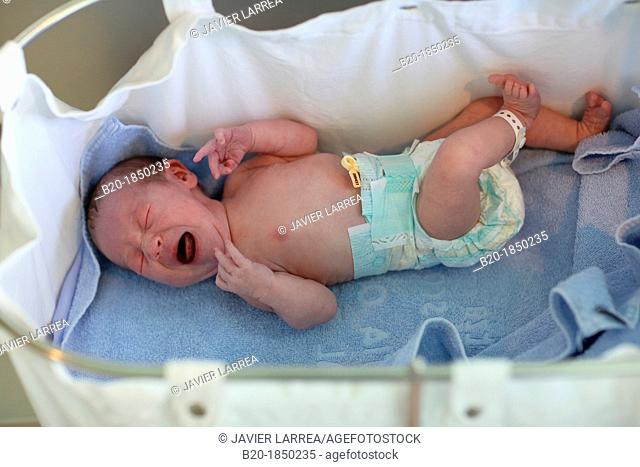 Newborn, Maternity, Donostia Hospital, San Sebastian, Donostia, Gipuzkoa, Basque Country, Spain