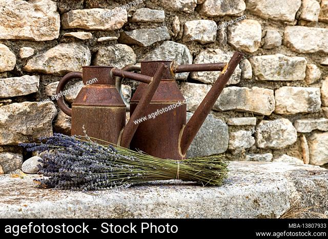 Still life with old watering cans and lavender bouquet, France, Provence