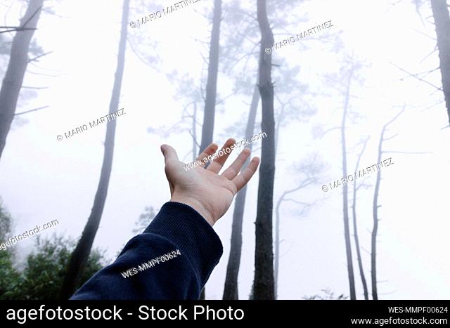 Man rising hand in foggy forest