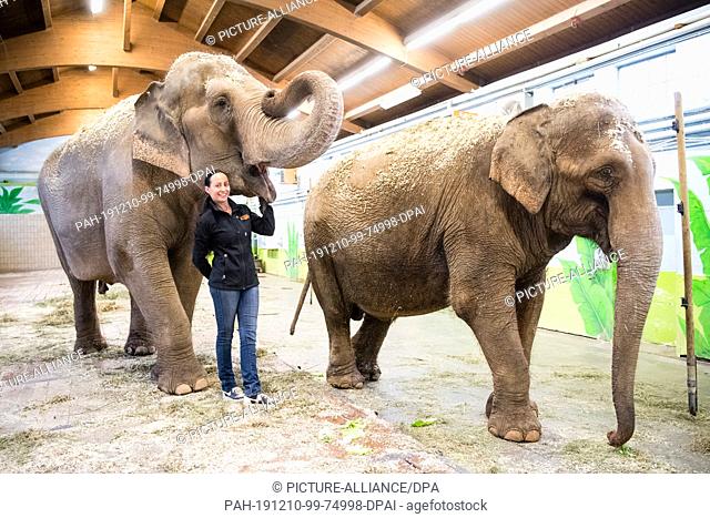 09 December 2019, Bavaria, Munich: Jana-Mandana Lacey-Krone, director of Circus Krone, strokes the Indian elephant cow Bara (44) in the elephant house on the...