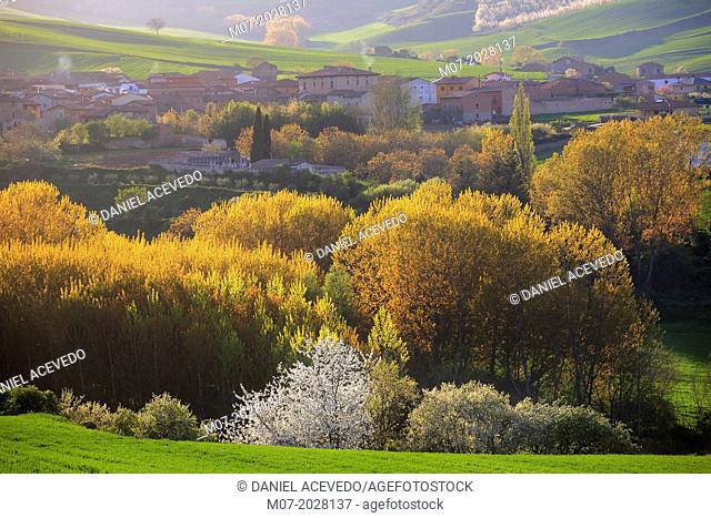 Berceo village and spring landscape, San Millan de la Cogolla, San Millán, Rioja wine region, La Rioja, Spain, Europe