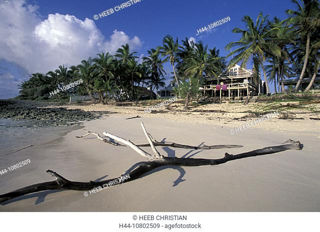 Abaco Island, Bahamas, Beach, beach property, coast, Elbow Cay, homes, Hope Town, houses, palm trees, sea, Seashore