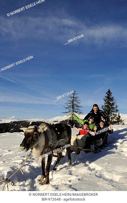Family in a reindeer sleigh, Hochpustertal Valley, Dolomite Alps, Bolzano-Bozen, Italy, Europe