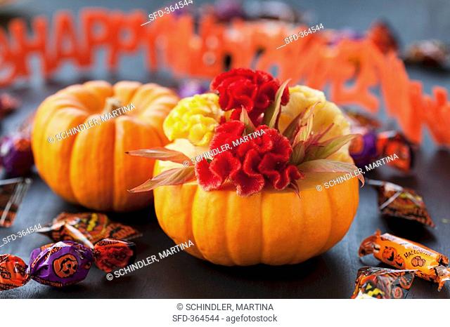 Pumpkins, sweets and Happy Halloween garland