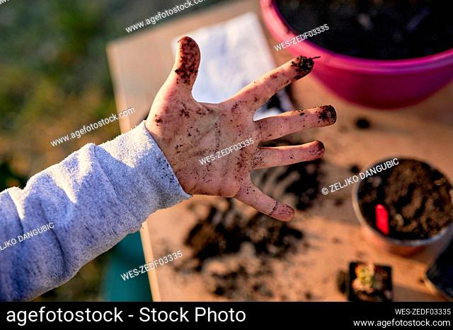 Close-up of boy showing his dirty hand from gardening