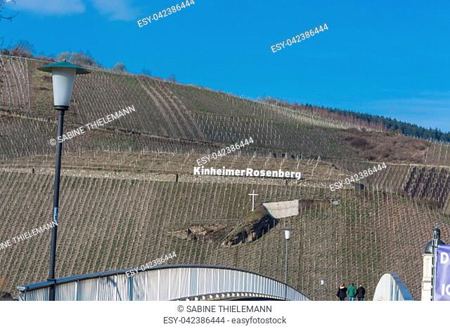 KINNHEIMER ROSENBERG, GERMANY - MARCH 26, 2016: View of the vineyards of Kinheimer Rosenberg from a pleasure boat trip on the Mosel River, Germany