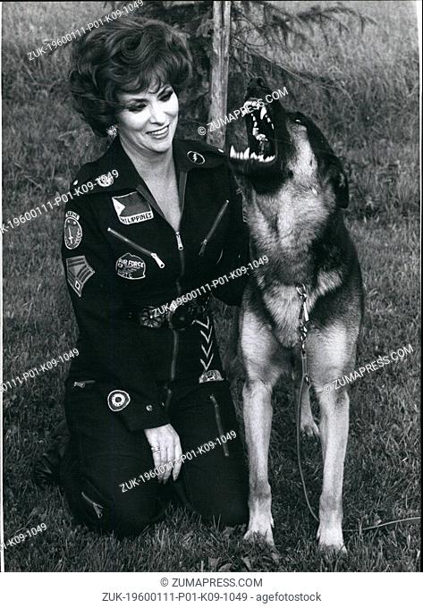 1972 - A Bavarian Sheep dog for 'Lollo': On mutuality the great sympathy is based, which developed between Gina Lollobrigida and Santo from the Isartal bot...