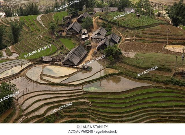 Rice terraces. Countryside of Sapa, Vietnam