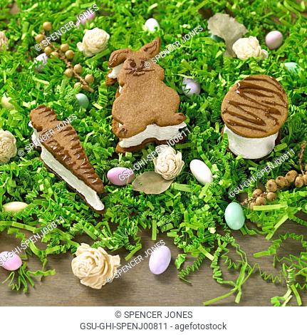 Easter Bunny, Carrot and Egg S'mores with Jelly Beans on Green Grass