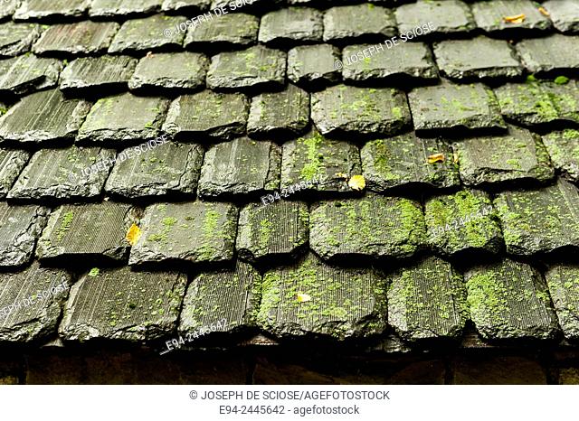 Close up a the late shingles on a roof partially covered with moss and algae. Pittsburgh Pennsylvania USA