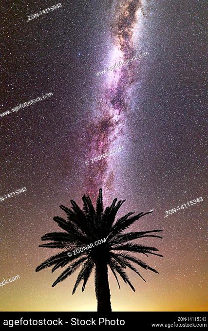 A view of a Meteor Shower and the purple Milky Way with palm tree silhouette in the foreground. Night sky nature summer landscape