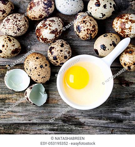 Top view on whole and broken quail eggs and yolk in white bowl over old wooden background. Top view. Square image