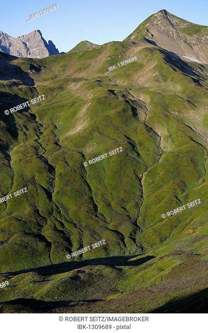 Mountainslope with drainage creeks, Hinterhornbach, Lechtal, Ausserfern, Tyrol, Austria, Europe