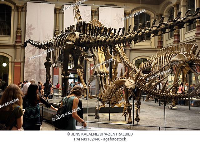Visitors look at the skeletons of different dinosaurs at the Naturkundemuseum in Berlin, 21 August 2016. Photo: Jens Kalaene/dpa - NO WIRE SERVICE - | usage...