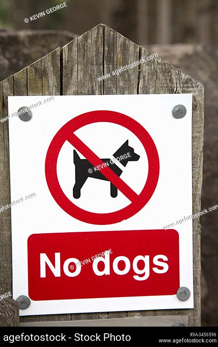 Dog Prohibition Sign on Wooden Post