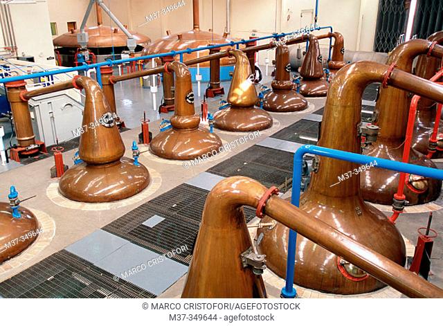 Stills. Glenfiddich whisky distillery. Dufftown. Scotland. UK