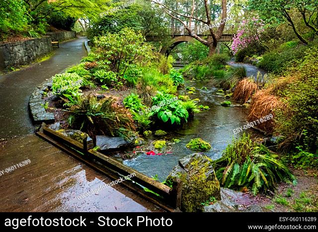 A wooden bridge in Portland's Crystal Springs Rhododendron Garden, Oregon