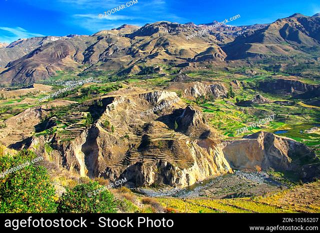 View of Colca Canyon in Peru. It is one of the deepest canyons in the world with a depth of 3, 270 meters