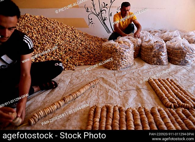 20 September 2022, Syria, Baluon: Syrian workers make strings of dried figs at the village of Baluon before sending them to dried fruit factories