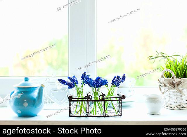 The kitchen windowsill in the morning with muscari flowers