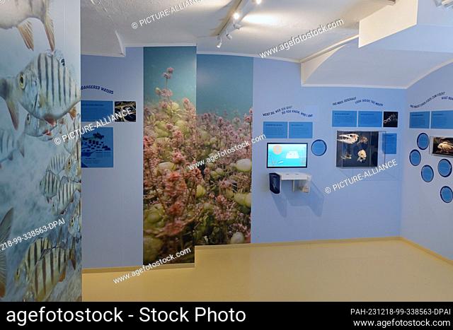 18 December 2023, Brandenburg, Potsdam: A basement room in the aquarium of the Potsdam Natural History Museum provides information about fish