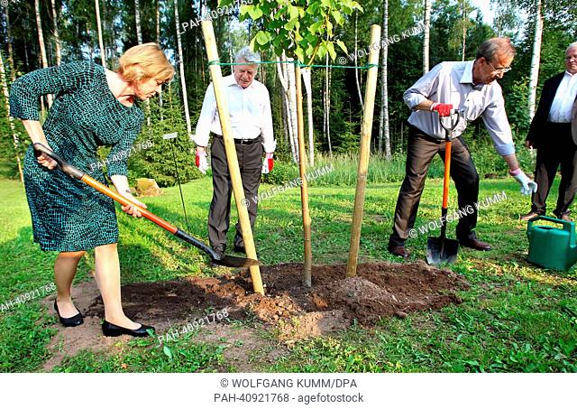 Gauck's partner Daniela Schadt (L-R), German President Joachim Gauck and Estonian President Toomas Hendrik Ilves plant a lime tree at the Estonian President's...