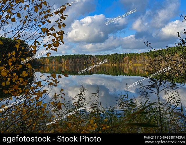 09 November 2021, Brandenburg, Jessern: The cloudy sky is reflected in the smooth water of the Kleiner Mochowsee. In the afternoon sun