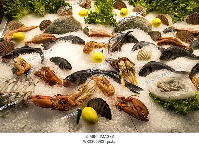 High angle close up of a selection of fresh fish and shellfish on ice at a market stall