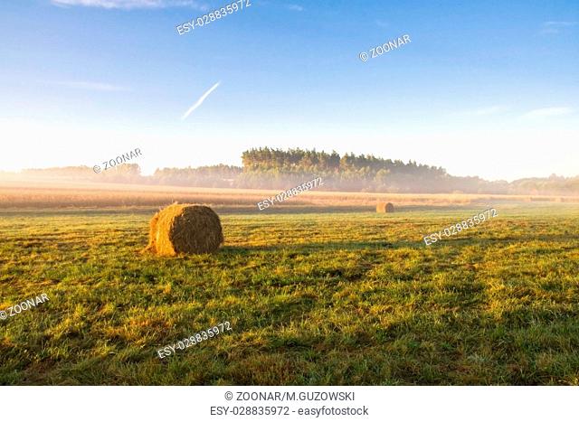 Bales of hay at sunrise. Beautiful foggy morning