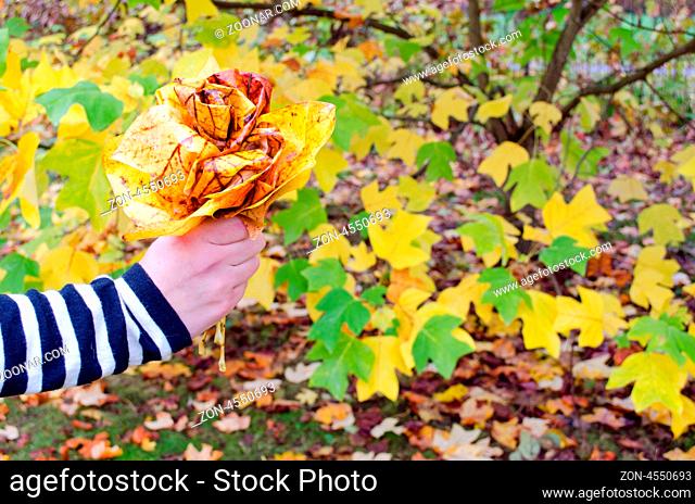 hand holding decorative flower made of colorful autumn tree leaves
