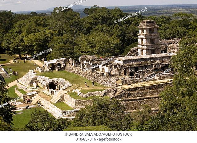Clásico Tardío (600-900 d. C.) Desde el templo de la Cruz: Palacio. Palenque. Chiapas. México