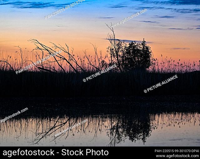13 May 2022, Brandenburg, Reitwein: Shortly before sunrise, the morning sky is reflected in the colorful German-Polish border river Oder