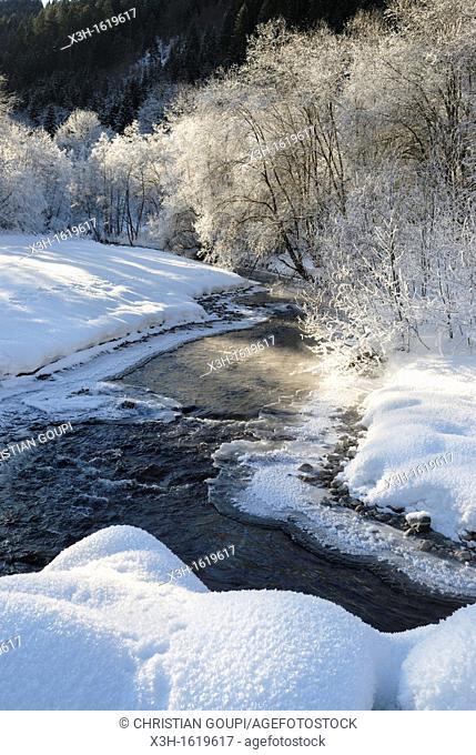 frost over the Dranse d'Abondance river, Haute-Savoie department, Rhone-Alpes region, France, Europe