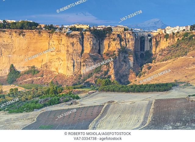 Cultivated fields and olive groves surrounding the old town perched on rocks, Ronda, Malaga province, Andalusia, Spain