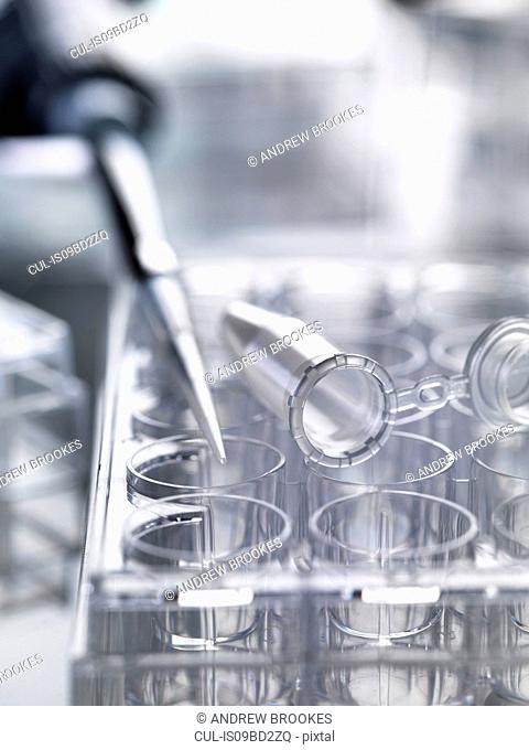 Pipette used to deliver samples sitting on multi well plates used in laboratory experiments