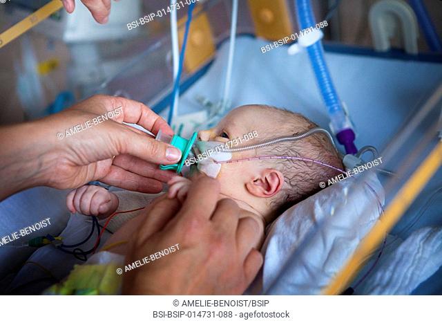 Reportage in the level 2, neonatology service in a hospital in Haute-Savoie, France. A nurse calms a newborn baby down who is in respiratory distress having...