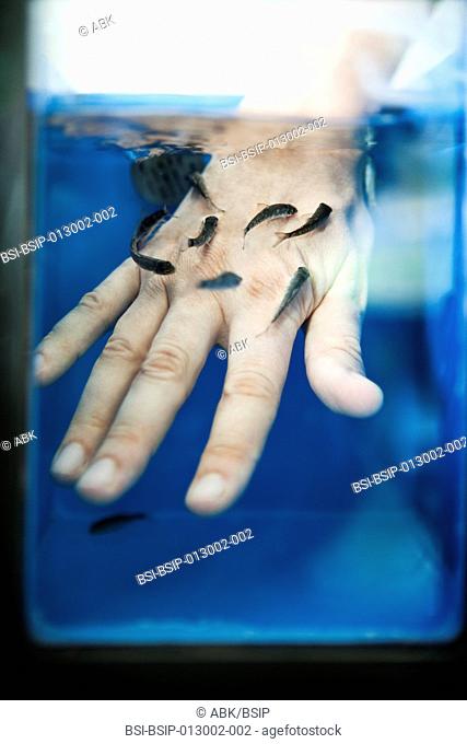 The fish therapy is originated from Turkey, in the Kandal district, living place of the Garra Rufa or doctor fish. These fish eat the dead cells of the skin